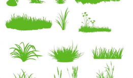 小草漫画图片,描绘生活点滴，传递温馨情感